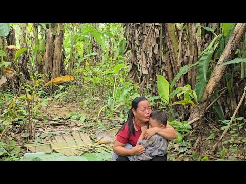 Видео: тец-одиночка. В один прекрасный день Ли Ан отправился на рынок за салом.