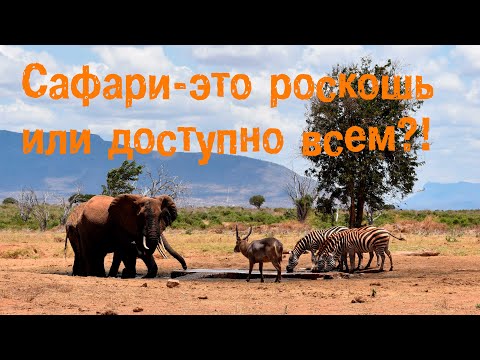 Видео: Сафари в Кении. Погружение в мир дикой природы. Парк Восточный Цаво.