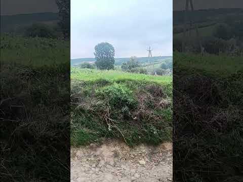 Видео: 29 вересня 2025 р.