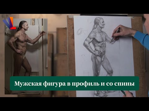 Видео: Мужская фигура в профиль и со спины - Александр Рыжкин