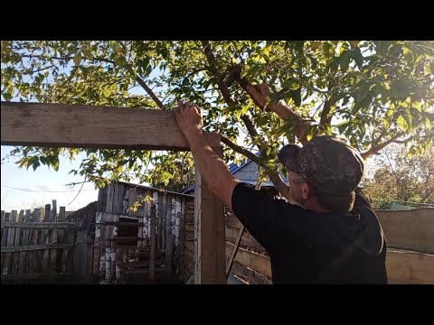 Видео: Жизнь в деревне 🏠/ огурцы жалко выбрасывать/ курятник потихоньку строится 
