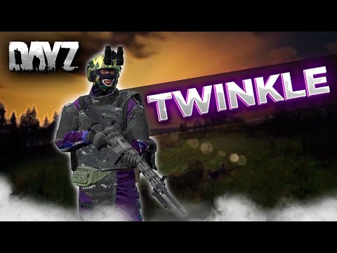 Видео: DAYZ PVE | НОВЫЙ ПРОЕКТ TWINKLE PLAY | КВЕСТЫ | АВТОИВЕНТЫ, МОНСТРЫ #2