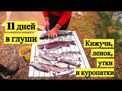 Видео: 11 дней в глуши, ставим лагерь, добываем и готовим // 11 Days in the Wilderness (Eng Subs)