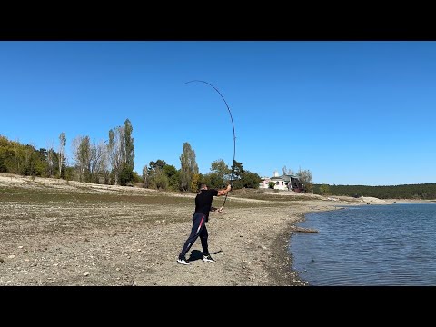 Видео: Обзор карпового удилища Sportex Competition cs-5 13ff 3.75lb