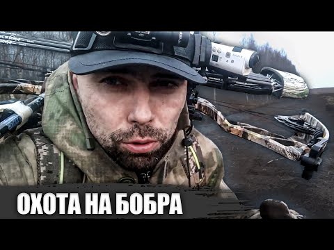 Видео: Охота на бобра весной с блочным луком 2020. Добыл очередной трофей!