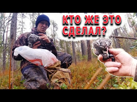 Видео: Кто мог такое сделать? Хулиганы на дедовской тропе.