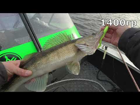Видео: спиннинг на Десногорском водохранилище 11.11.2021год!!! судак на джиг...