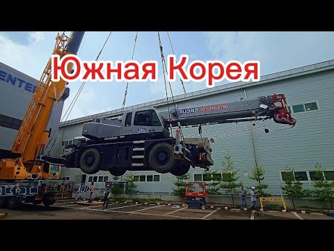 Видео: Необычная работа в Корее.  Слабонервным не смотреть. #жизньвкорее #корея #работавкорее