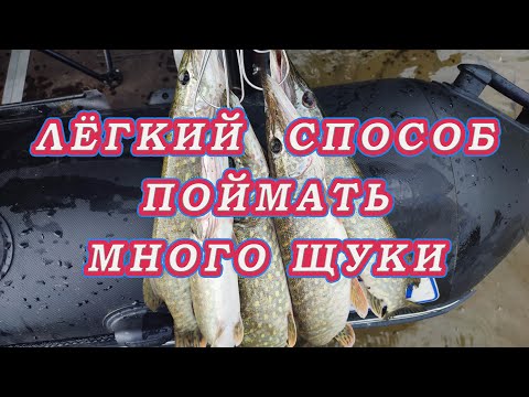 Видео: ЛЕГКИЙ Способ поймать МНОГО ЩУКИ!. Лучшая ПРОВОДКА ДЛЯ ПОКЛЕВКИ!