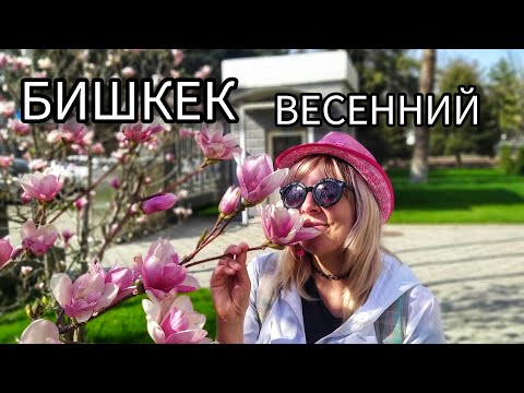 Видео: Бишкек туристический. Обзор от рынка Дордой до  Ошского рынка