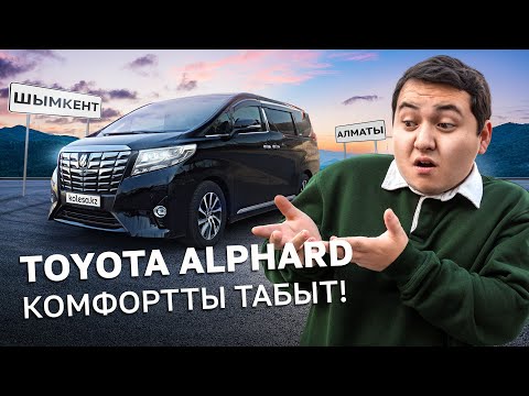 Видео: Toyota Alphard — таксисттің түпкі арманы // QAZ Kolesa.kz