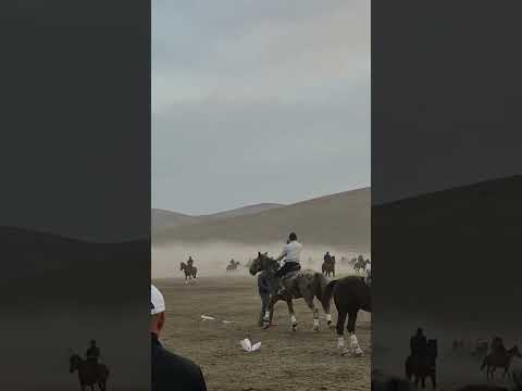 Видео: 21 октября 2025 г.кокпар