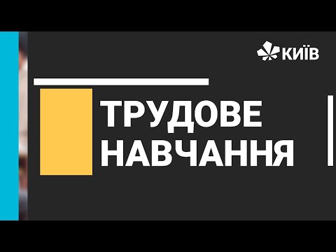 Видео: Трудове навчання, 8 клас, Органайзер.Урок 1 - 25.01.21 - #Відкритийурок