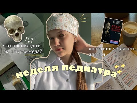Видео: неделя педиатра | мои мысли и отзывы насчет меда 👩🏼‍⚕️💀
