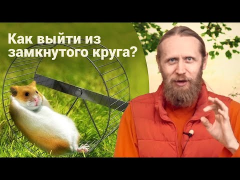 Видео: Если ты — «белка в колесе». Как выйти из замкнутого круга? Где брать энергию для роста?