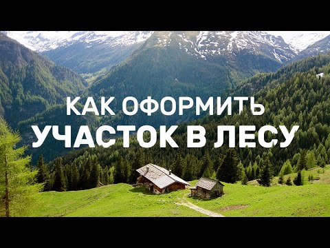 Видео: Лесной Участок: подробная инструкция Как оформить большой участок в лесу. Аренда лесного участка