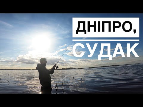 Видео: Весняні судаки активно харчуються на Дніпрі.