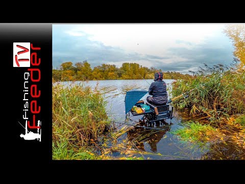 Видео: ☑️Vlog #24 Рыбалка на фидер. Ловля плотвы на осенней реке. Рыбалка 2018. Feederfishing tv