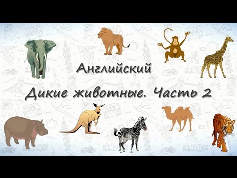Видео: Животные на английском. Дикие Животные. Часть 2