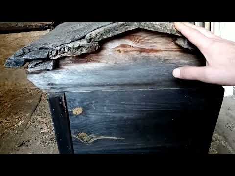Видео: Старый улей который изначально изготовлен правильно.