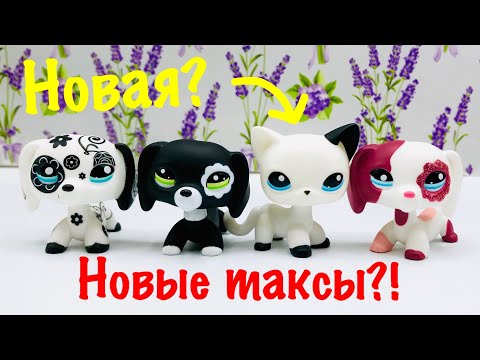 Видео: LPS: НОВАЯ СТОЯЧКА?! ТАКСЫ? (РАСПАКОВКА #6)