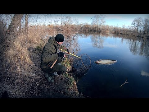 Видео: Дуже потужна рибалка під кінец року! Заїхав в хащі, риби валом!