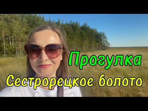 Видео: Эко-тропа Сестрорецкое болото. Пешая прогулка