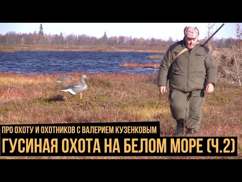Видео: Гусиная охота на Белом море (2 серия) / Про охоту и охотников с Валерием Кузенковым. Сезон 1