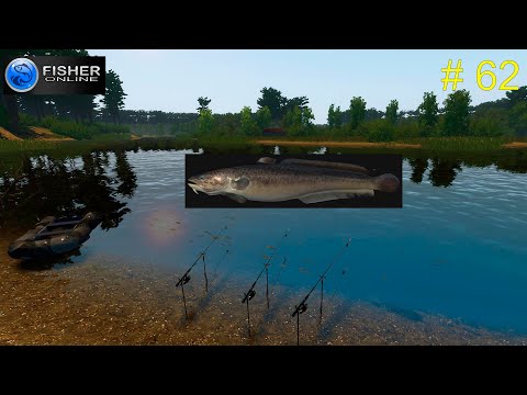 Видео: # 62 река Пра. ч.12  На пути к серебряному трофею: налим.  Прохождение  Fisher Online
