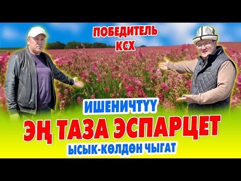 Видео: ДЫЙКАНДАРДЫН баары КѲРСҮН! ~ Кѳп жылдык УРУК тандоонун СЕКРЕТИ ачылды ~ Эспартцеттин ТАЗАСЫ ушул