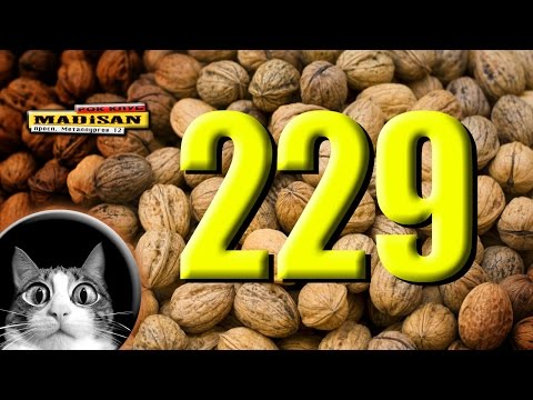 Видео: ДВА ДВА ДЕВЯТЬ - Арэхапад