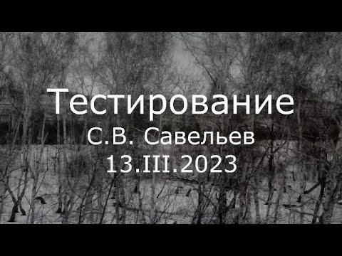 Видео: С.В. Савельев - Тестирование