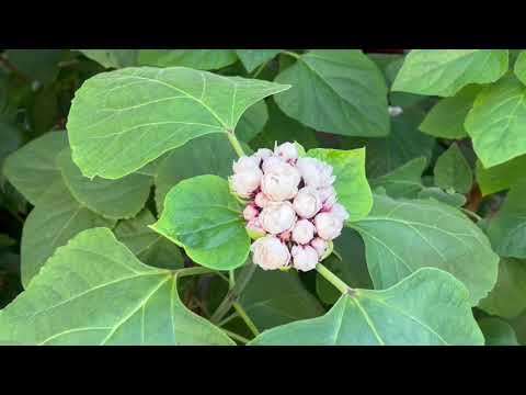 Видео: ВЫШИВКА 🧵 ПРОДВИЖЕНИЯ ПО ПРОЦЕССАМ/Море 