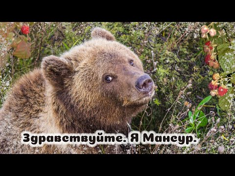 Видео: С днем рождения, Мансур!