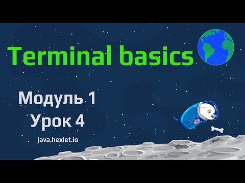 Видео: Модуль 1. Урок 4. Основы работы в терминале.