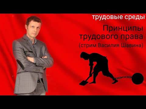 Видео: Принципы трудового права (стрим Василия Шавина)