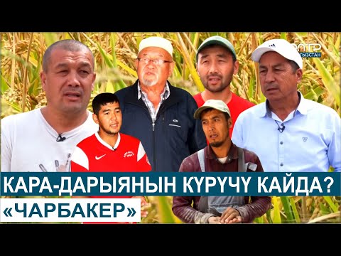 Видео: КАРА-ДАРЫЯ ДЫЙКАНДАРЫНЫН КҮРҮЧҮ САТУУГА ДАЯР