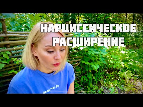 Видео: НАРЦИССИЧЕСКОЕ РАСШИРЕНИЕ В ДЕТСКО-РОДИТЕЛЬСКИХ И ВЗРОСЛЫХ ОТНОШЕНИЯХ / ГНОМ ГНОМЫЧ И РУДКОВСКАЯ