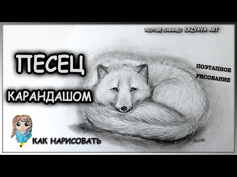 Видео: Как нарисовать ПЕСЦА карандашом. Мастер-класс. Еще один способ рисовать шерсть