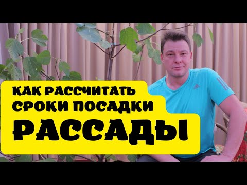 Видео: как рассчитать сроки посадки посева рассады помидор, перца, баклажан, тыквы, арбуза, огурцов