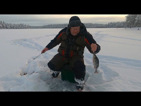 Видео: Рыбалка в Карелии. Ловля окуня в декабре.