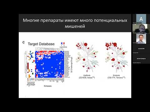 Видео: Т.Лебедев: Single cell imaging - высокопроизводительный подход для исследования клеточных процессов
