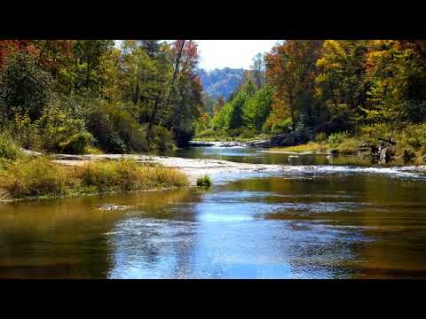 Видео: Ошо - Вечерние медитации,  04. Медитация - это огонь, озвучивает Nikosho.