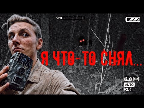 Видео: СНЯЛ НЕЧТО НА ФОТОЛОВУШКУ В НОЧНОМ ЛЕСУ 😱