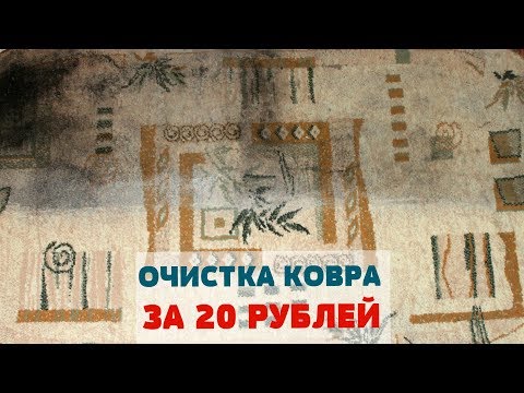 Видео: Как почистить БОЛЬШОЙ и  ГРЯЗНЫЙ КОВЕР, ПАЛАС, КОВРОЛИН, КОВРОВОЕ ПОКРЫТИЕ / Очень БЮДЖЕТНО/