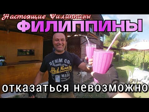 Видео: Филиппины, остров Себу - таким вы его не знаете! / Шоколадные холмы и драконовая ферма