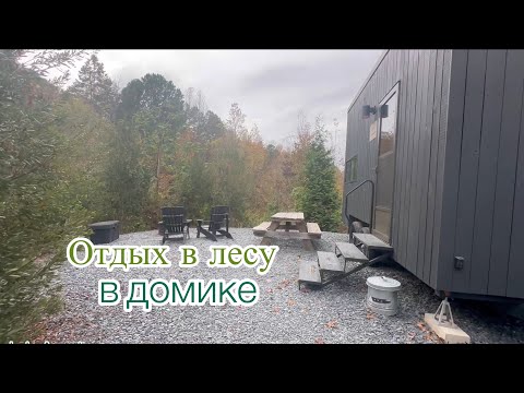 Видео: ОТДЫХ В ДОМИКЕ В ЛЕСУ. POSTCARD CABINS