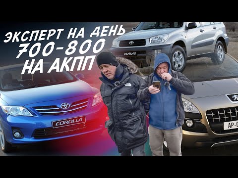 Видео: НАЙТИ ЗА ДЕНЬ! БЮДЖЕТ 700-800ТР! COROLLA, RAV4, TIIDA, NOTE, ASTRA, FOCUS 2, VW POLO, PEUGEOT 3008!
