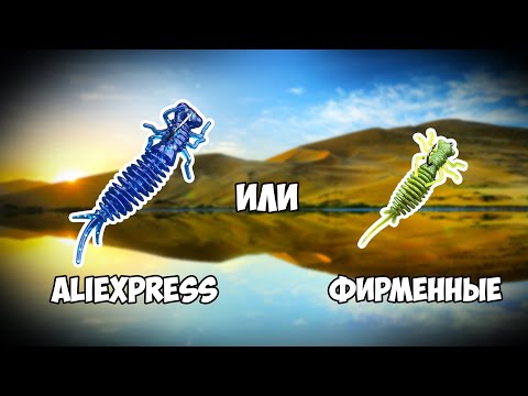 Видео: Рыбалка Киев | Спиннинговая рыбалка | Озеро Небреж | Спиннинг | Силиконки | Не рыбаки | ne rybaki