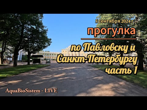 Видео: Прогулка по Павловску и Санкт Петербургу часть 1.